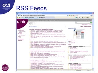 RSS Feeds 