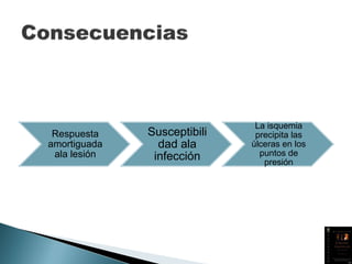 Respuesta
amortiguada
ala lesión
Susceptibili
dad ala
infección
La isquemia
precipita las
úlceras en los
puntos de
presión
 