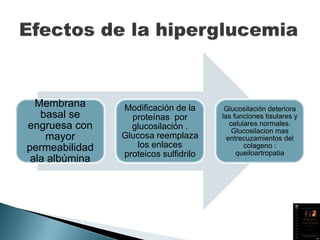 Membrana
basal se
engruesa con
mayor
permeabilidad
ala albúmina
Modificación de la
proteínas por
glucosilación .
Glucosa reemplaza
los enlaces
proteicos sulfidrilo
Glucosilación deteriora
las funciones tisulares y
celulares normales.
Glucosilacion mas
entrecuzamientos del
colageno :
queiloartropatia
 