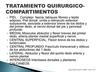  PIEL : Complejo fascia, tabiques fibroso y tejido
adiposo. Piel dorsal unida a retinaculo extensor
subyacente, asociada a extensor breve de los dedos y
del primer dedo, al nervio dorsal del pie y peroneal
profundo
 MEDIAL:Músculos abductor y flexor breves del primer
dedo, arteria plantar medial superficial y nervio
 CENTRAL SUPERFICIAL: Flexor breve de los dedos y
lumbricales
 CENTRAL PROFUNDO: Fascículo transversal y oblicuo
de los abductores del 1 dedo
 LATERAL: Abductor y flexor del quinto dedo arteria y
nervio plantar
 INTEROSEOS Interóseos dorsales y plantares
 CALCANEOS
 