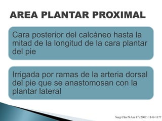Cara posterior del calcáneo hasta la
mitad de la longitud de la cara plantar
del pie
Irrigada por ramas de la arteria dorsal
del pie que se anastomosan con la
plantar lateral
 