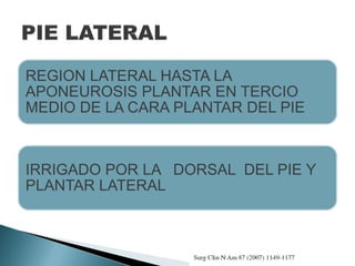 REGION LATERAL HASTA LA
APONEUROSIS PLANTAR EN TERCIO
MEDIO DE LA CARA PLANTAR DEL PIE
IRRIGADO POR LA DORSAL DEL PIE Y
PLANTAR LATERAL
 