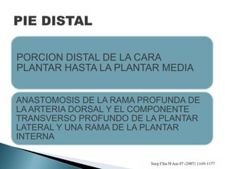 PORCION DISTAL DE LA CARA
PLANTAR HASTA LA PLANTAR MEDIA
ANASTOMOSIS DE LA RAMA PROFUNDA DE
LA ARTERIA DORSAL Y EL COMPONENTE
TRANSVERSO PROFUNDO DE LA PLANTAR
LATERAL Y UNA RAMA DE LA PLANTAR
INTERNA
 