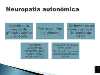 Perdida de la
función de
glándulas ecrinas
y sebáceas
Piel seca , fría
y agrietada
Se forman callos
duros y secos en
los puntos de
presión
Neuropatía
autonómica
simpática abre
cortocircuitos
arteriovenosos
Disminución del flujo al
lecho capilar.
Se pierde la respuesta
neuroinflamatoria a la
lesión
 