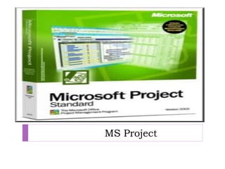 MS Project
 