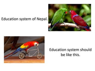 Education system should
be like this.
Education system of Nepal.
 