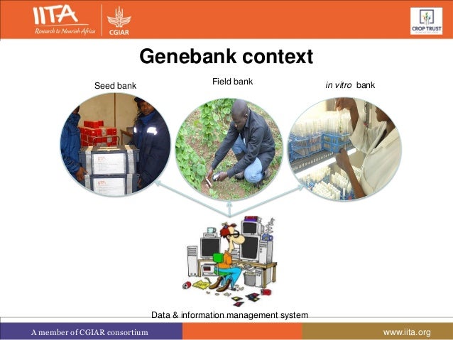 Genebank data and information management system