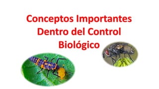 Conceptos Importantes
Dentro del Control
Biológico
Ing. RODOLFO SALAZAR IZQUIERDO
DOCENTE TSAMAJAIN
 