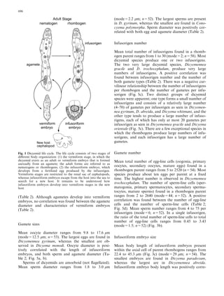 (Table 2). Although agametes develop into vermiform
embryos, no correlation was found between the agamete
diameter and characteristics of vermiform embryos
(Table 2).
Gamete sizes
Mean oocyte diameter ranges from 9.8 to 17.6 lm
(mode=12.5 lm; n=53). The largest eggs are found in
Dicyemennea gyrinum, whereas the smallest are ob-
served in Dicyema monodi. Oocyte diameter is posi-
tively correlated with the length of infusoriform
embryos, and both sperm and agamete diameter (Ta-
ble 2; Fig. 5a, b).
Sperms of dicyemids are amoeboid (not ﬂagellated).
Mean sperm diameter ranges from 1.8 to 3.0 lm
(mode=2.2 lm; n=52). The largest sperms are present
in D. gyrinum, whereas the smallest are found in Cono-
cyema polymorpha. Sperm diameter was positively cor-
related with both egg and agamete diameter (Table 2).
Infusorigen number
Mean total number of infusorigens found in a rhomb-
ogen parent ranges from 1 to 30 (mode=2; n=58). Most
dicyemid species produce one or two infusorigens.
The two very large dicyemid species, Dicyemennea
gracile and D. trochocephalum, produce very large
numbers of infusorigens. A positive correlation was
found between infusorigen number and the number of
both gamete types (Table 2). There was a negative cur-
vilinear relationship between the number of infusorigens
per rhombogen and the number of gametes per infu-
sorigen (Fig. 5c). Two distinct groups of dicyemid
species were apparent; one type forms a small number of
infusorigens and consists of a relatively large number
(4–70) of gametes per infusorigen as seen in Dicyemen-
nea gyrinum, D. abreida, and Dicyema whitmani, and the
other type tends to produce a large number of infuso-
rigens, each of which has only at most 20 gametes per
infusorigen as seen in Dicyemennea gracile and Dicyema
orientale (Fig. 5c). There are a few exceptional species in
which the rhombogens produce large numbers of infu-
sorigens, and each infusorigen has a large number of
gametes.
Gamete number
Mean total number of egg-line cells (oogonia, primary
oocytes, secondary oocytes, mature eggs) found in a
rhombogen parent ranges from 5 to 2520 (n=54). Most
species produce about ten eggs per parent at a ﬁxed
time. The highest number is observed in Dicyemennea
trochocephalum. The number of sperm-line cells (sper-
matogonia, primary spermatocytes, secondary sperma-
tocytes, mature sperms) found in a rhombogen parent
ranges from 2 to 2640 (mode=44; n=52). A positive
correlation was found between the number of egg-line
cells and the number of sperm-line cells (Table 2;
Fig. 5d). Mean sperm number ranges from 4 to 75 per
infusorigen (mode=6; n=52). In a single infusorigen,
the ratio of the total number of sperm-line cells to total
number of egg-line cells ranges from 0.45 to 3.43
(mode=1.5; n=52) (Fig. 3b).
Infusoriform embryo size
Mean body length of infusoriform embryos present
within the axial cell of parent rhombogens ranges from
22.4 to 45.3 lm (Fig. 3c) (mode=29 lm; n=54). The
smallest embryos are found in Dicyema paradoxum,
whereas the largest are in Dicyemennea abreida.
Infusoriform embryo body length was positively corre-
Fig. 1 Dicyemid life cycle. The life cycle consists of two stages of
diﬀerent body organization: (1) the vermiform stage, in which the
dicyemid exists as an adult or vermiform embryo that is formed
asexually from an agamete; the adult forms are referred to as
nematogens or rhombogens; (2) the infusoriform embryo, which
develops from a fertilized egg produced by the infusorigen.
Vermiform stages are restricted to the renal sac of cephalopods,
whereas infusoriform embryos escape from the host into the sea to
search for a new host. It remains to be understood how
infusoriform embryos develop into vermiform stages in the new
host
696
 
