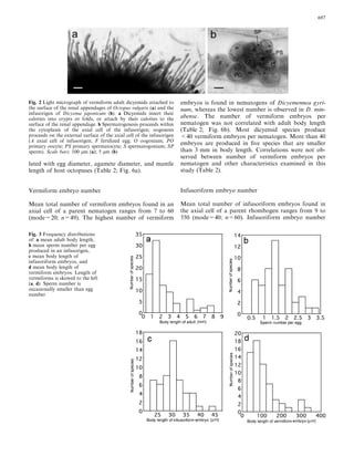 lated with egg diameter, agamete diameter, and mantle
length of host octopuses (Table 2; Fig. 6a).
Vermiform embryo number
Mean total number of vermiform embryos found in an
axial cell of a parent nematogen ranges from 7 to 60
(mode=20; n=49). The highest number of vermiform
embryos is found in nematogens of Dicyemennea gyri-
num, whereas the lowest number is observed in D. min-
abense. The number of vermiform embryos per
nematogen was not correlated with adult body length
(Table 2; Fig. 6b). Most dicyemid species produce
<40 vermiform embryos per nematogen. More than 40
embryos are produced in ﬁve species that are smaller
than 3 mm in body length. Correlations were not ob-
served between number of vermiform embryos per
nematogen and other characteristics examined in this
study (Table 2).
Infusoriform embryo number
Mean total number of infusoriform embryos found in
the axial cell of a parent rhombogen ranges from 9 to
350 (mode=40; n=60). Infusoriform embryo number
Fig. 3 Frequency distributions
of: a mean adult body length,
b mean sperm number per egg
produced in an infusorigen,
c mean body length of
infusoriform embryos, and
d mean body length of
vermiform embryos. Length of
vermiforms is skewed to the left
(a, d). Sperm number is
occasionally smaller than egg
number
Fig. 2 Light micrograph of vermiform adult dicyemids attached to
the surface of the renal appendages of Octopus vulgaris (a) and the
infusorigen of Dicyema japonicum (b). a Dicyemids insert their
calottes into crypts or folds, or attach by their calottes to the
surface of the renal appendage. b Spermatogenesis proceeds within
the cytoplasm of the axial cell of the infusorigen; oogenesis
proceeds on the external surface of the axial cell of the infusorigen
(A axial cell of infusorigen; F fertilized egg; O oogonium; PO
primary oocyte; PS primary spermatocyte; S spermatogonium; SP
sperm). Scale bars: 100 lm (a); 5 lm (b)
697
 