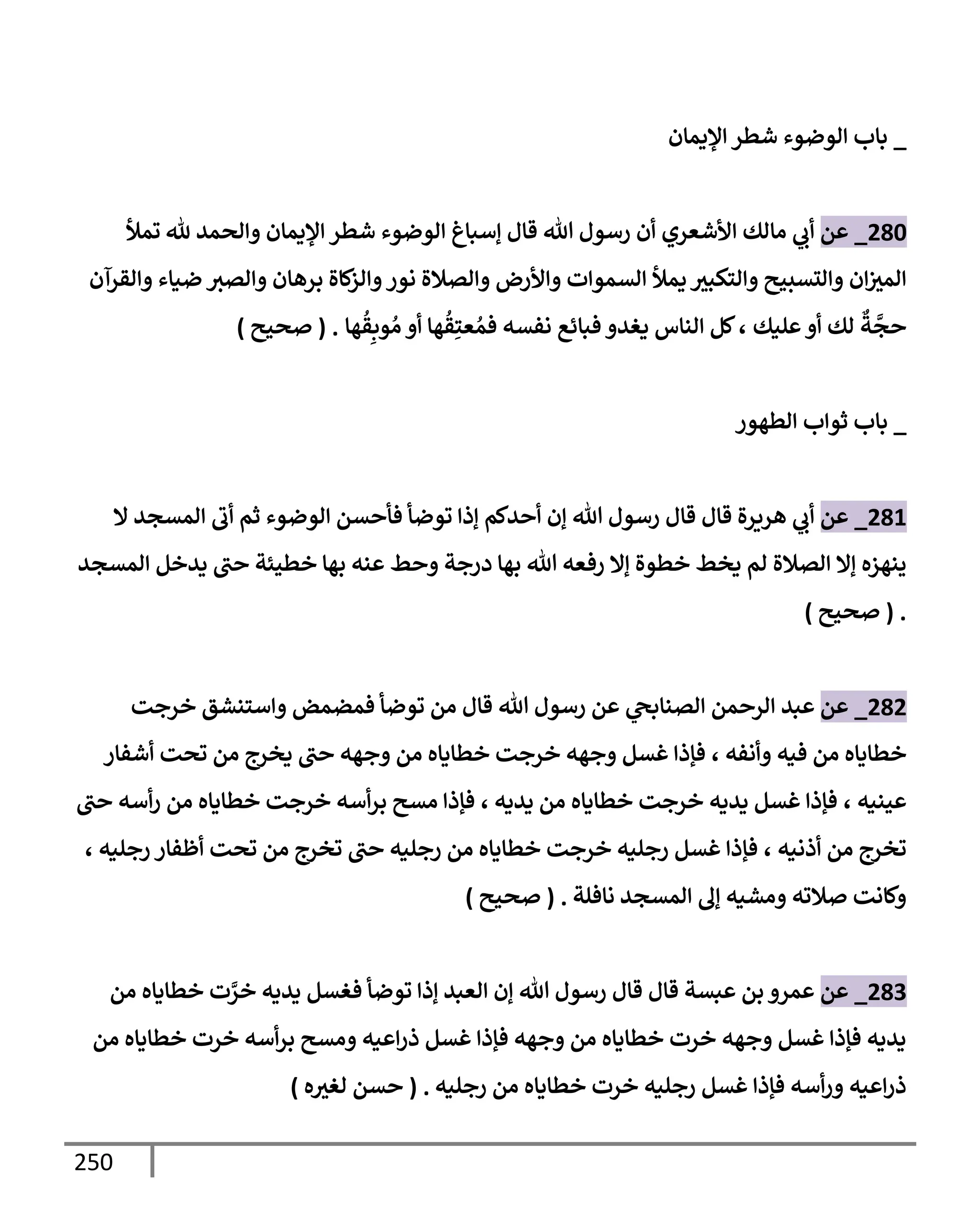 الكامل في تقريب سنن ابن ماجة بحذف الأسانيد مع بيان حكم كل حديث وبيان أن فيه أربعين حديثا ضعيفا فقط وأن ليس فيه حديث متروك ولا مكذوب / النسخة الثانية / 4300 حديث