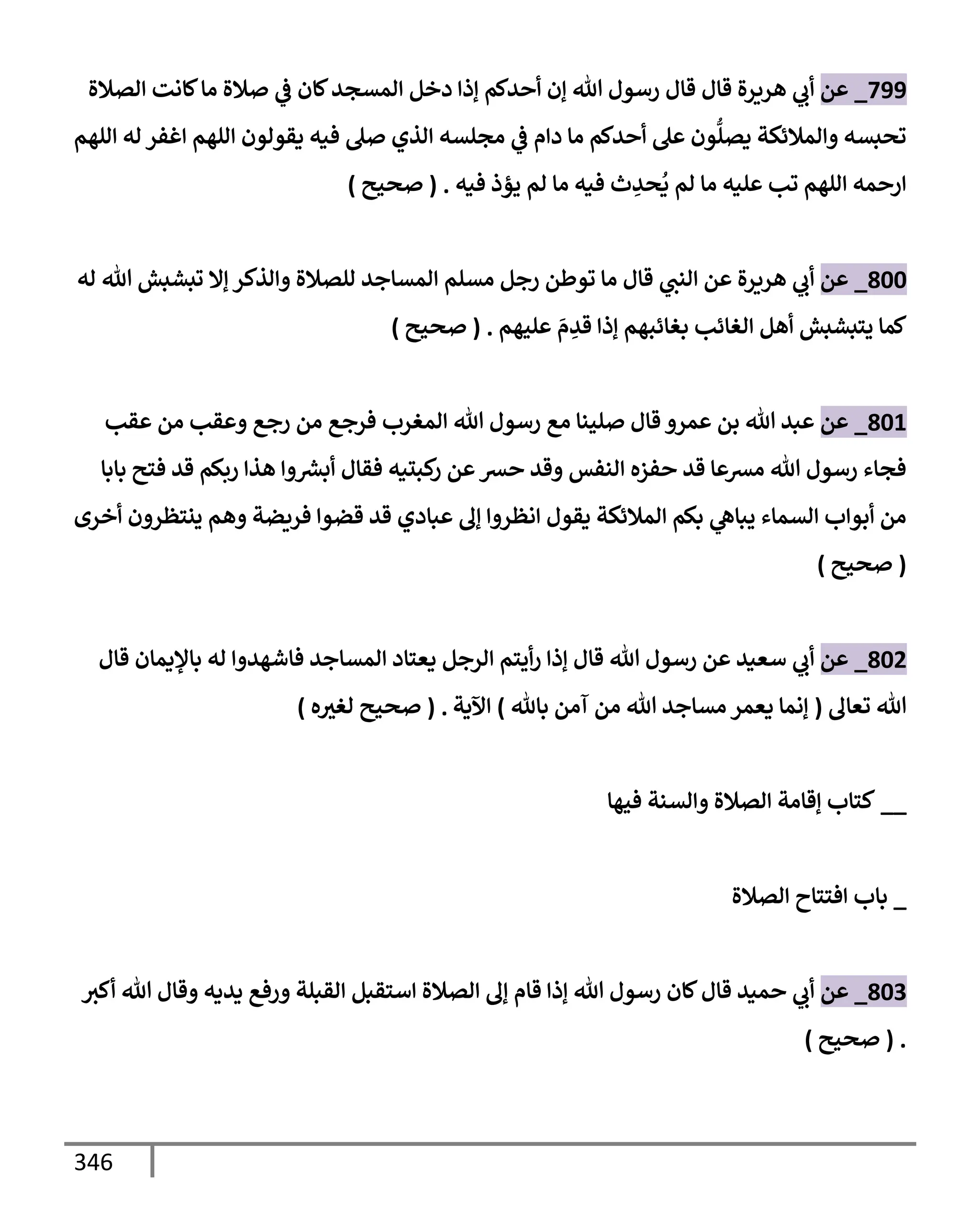 الكامل في تقريب سنن ابن ماجة بحذف الأسانيد مع بيان حكم كل حديث وبيان أن فيه أربعين حديثا ضعيفا فقط وأن ليس فيه حديث متروك ولا مكذوب / النسخة الثانية / 4300 حديث