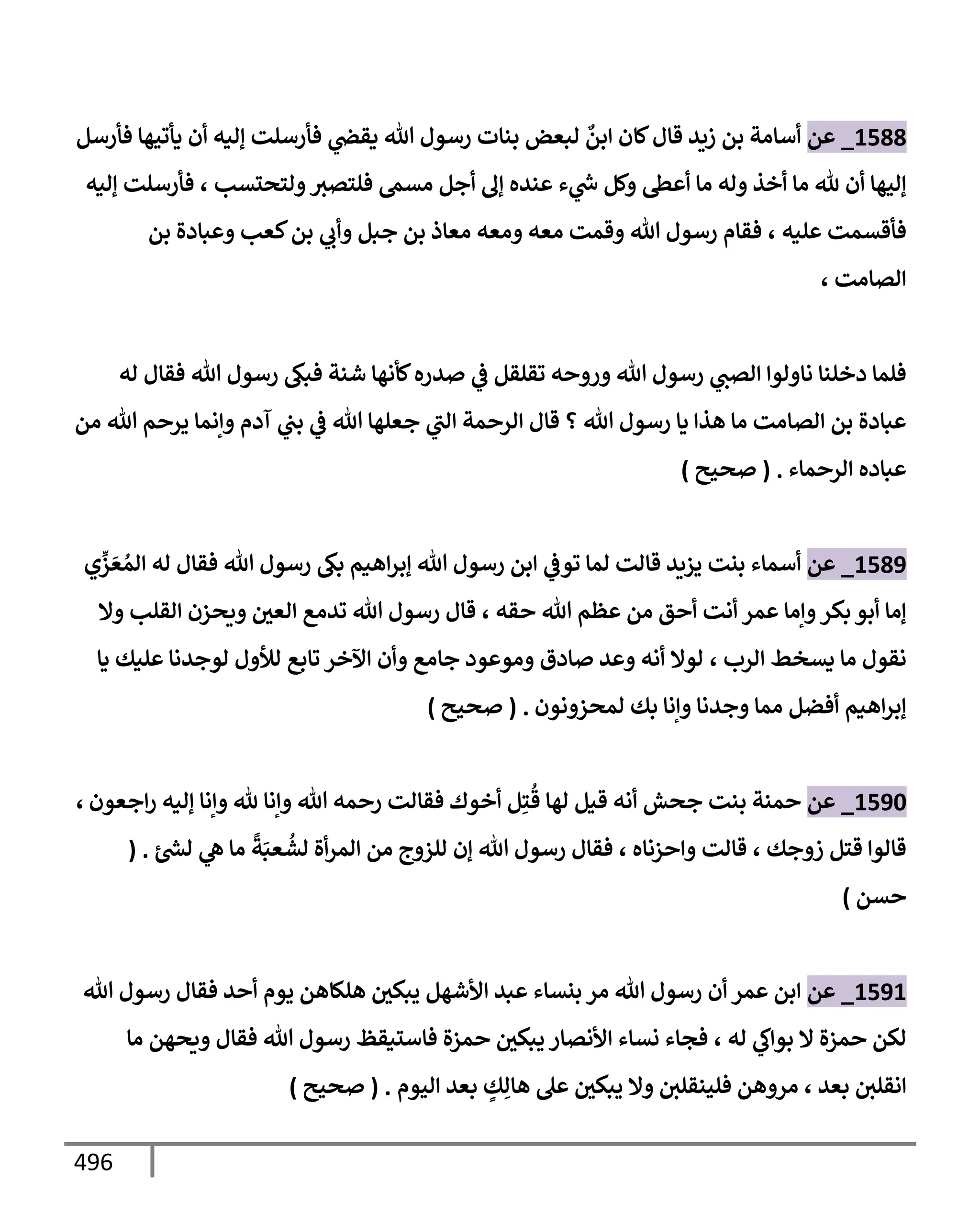 الكامل في تقريب سنن ابن ماجة بحذف الأسانيد مع بيان حكم كل حديث وبيان أن فيه أربعين حديثا ضعيفا فقط وأن ليس فيه حديث متروك ولا مكذوب / النسخة الثانية / 4300 حديث