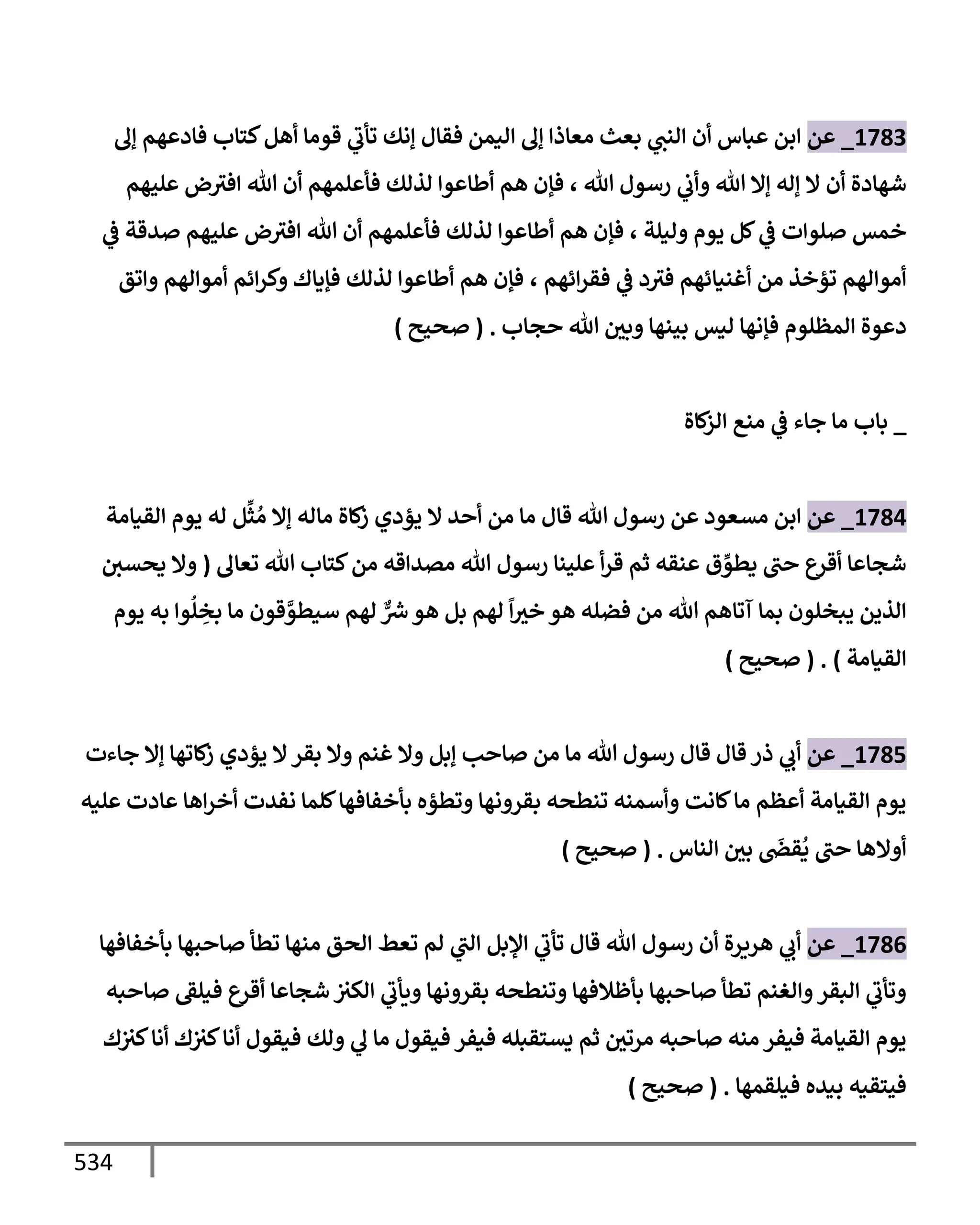 الكامل في تقريب سنن ابن ماجة بحذف الأسانيد مع بيان حكم كل حديث وبيان أن فيه أربعين حديثا ضعيفا فقط وأن ليس فيه حديث متروك ولا مكذوب / النسخة الثانية / 4300 حديث