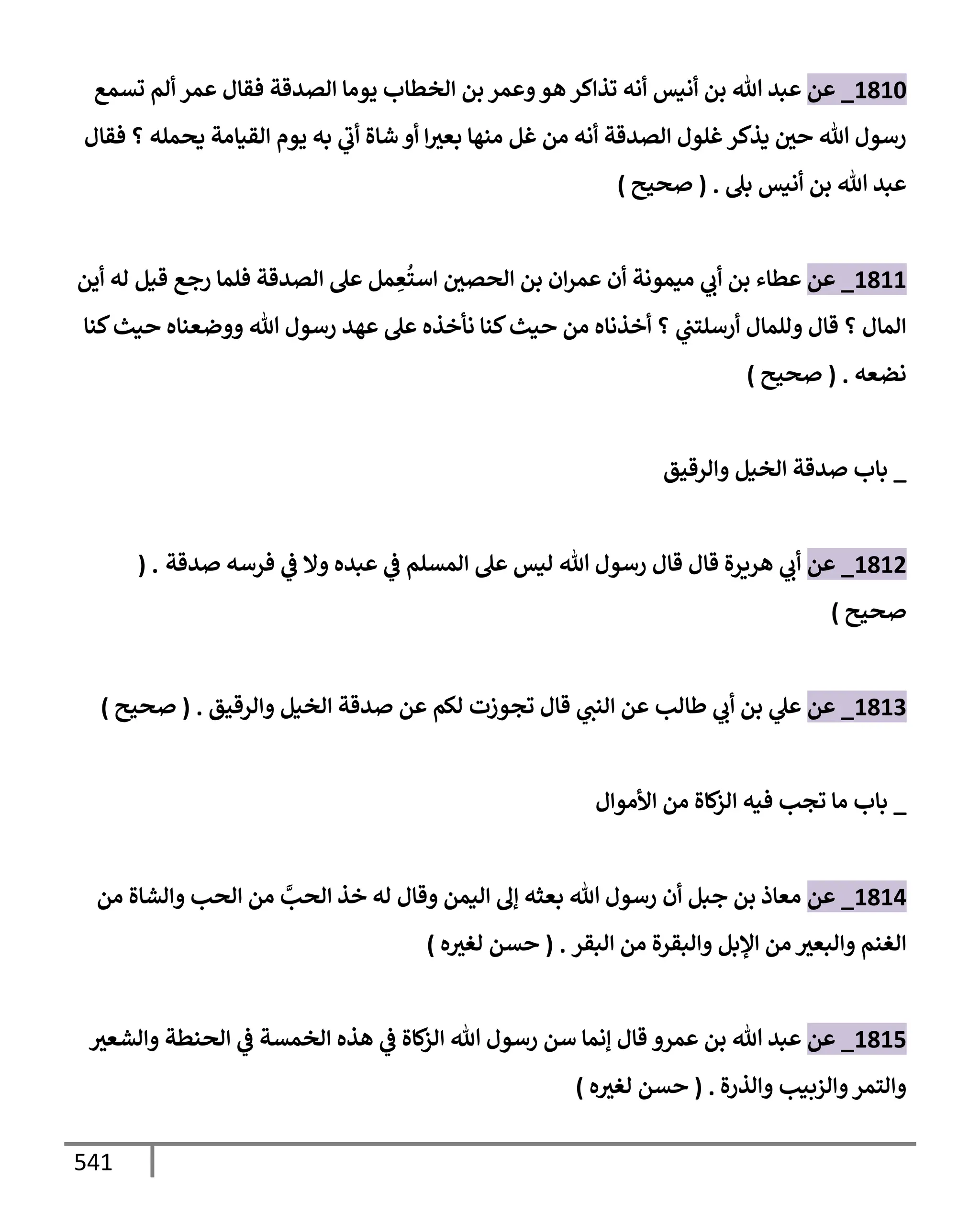 الكامل في تقريب سنن ابن ماجة بحذف الأسانيد مع بيان حكم كل حديث وبيان أن فيه أربعين حديثا ضعيفا فقط وأن ليس فيه حديث متروك ولا مكذوب / النسخة الثانية / 4300 حديث