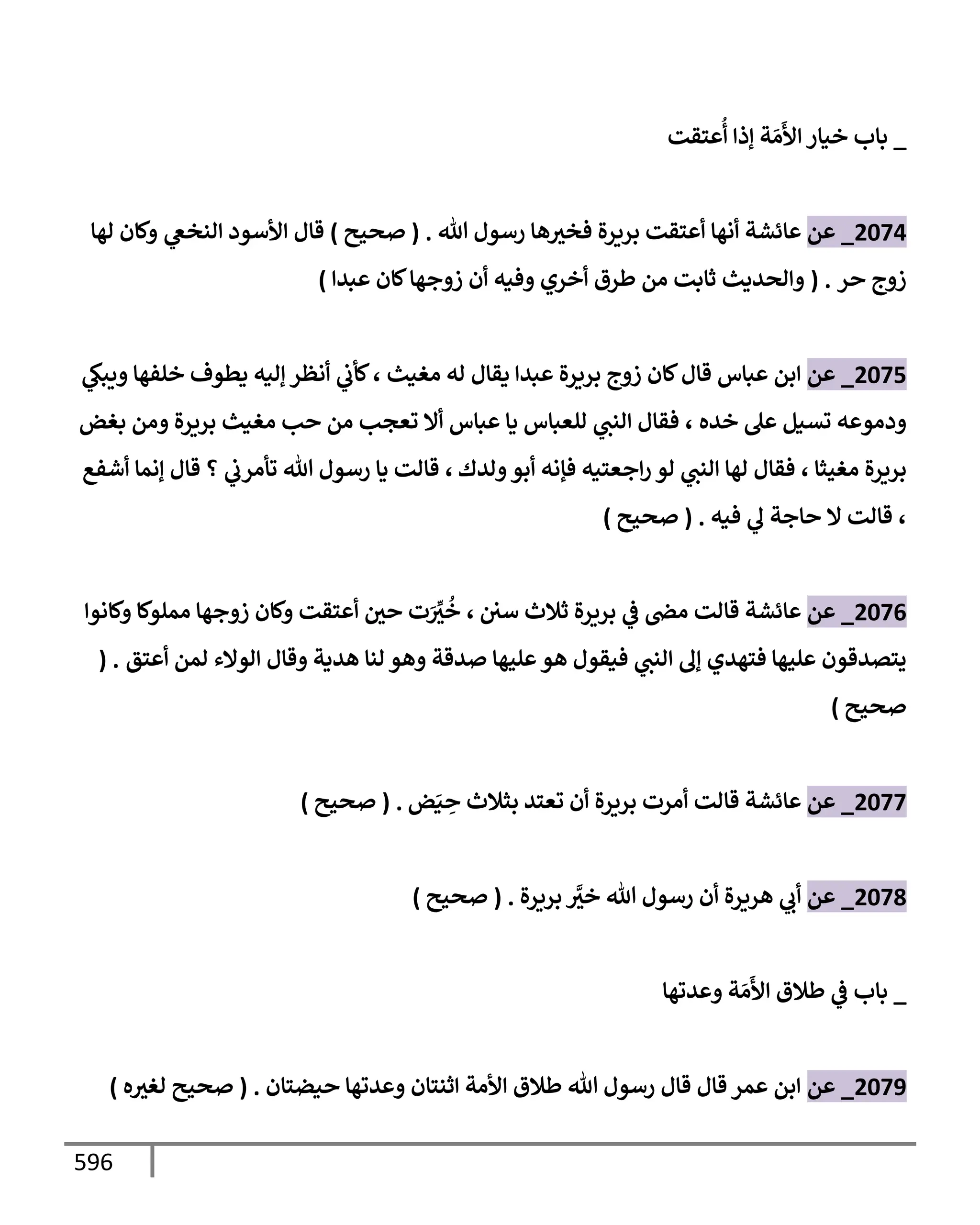 الكامل في تقريب سنن ابن ماجة بحذف الأسانيد مع بيان حكم كل حديث وبيان أن فيه أربعين حديثا ضعيفا فقط وأن ليس فيه حديث متروك ولا مكذوب / النسخة الثانية / 4300 حديث