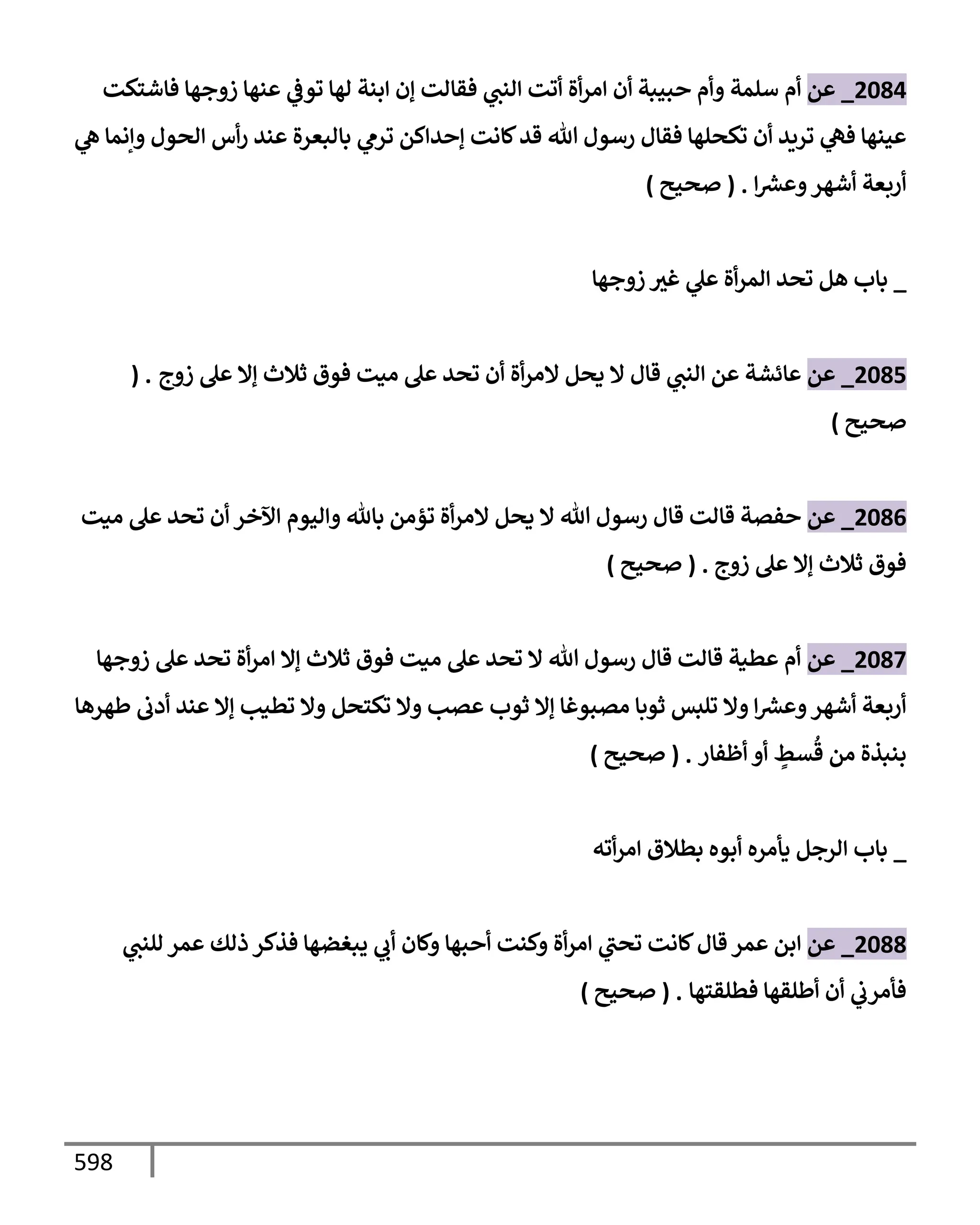 الكامل في تقريب سنن ابن ماجة بحذف الأسانيد مع بيان حكم كل حديث وبيان أن فيه أربعين حديثا ضعيفا فقط وأن ليس فيه حديث متروك ولا مكذوب / النسخة الثانية / 4300 حديث