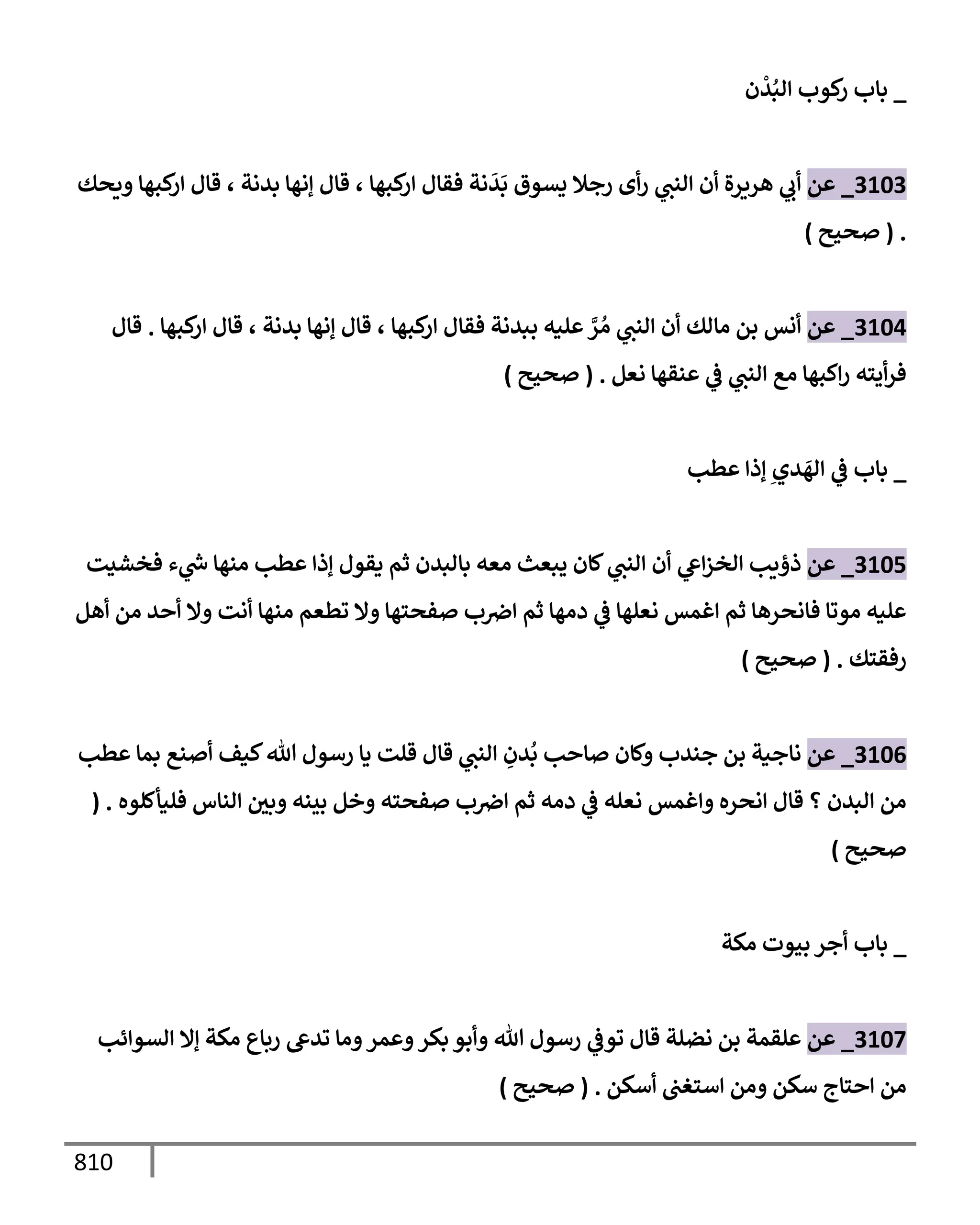 الكامل في تقريب سنن ابن ماجة بحذف الأسانيد مع بيان حكم كل حديث وبيان أن فيه أربعين حديثا ضعيفا فقط وأن ليس فيه حديث متروك ولا مكذوب / النسخة الثانية / 4300 حديث