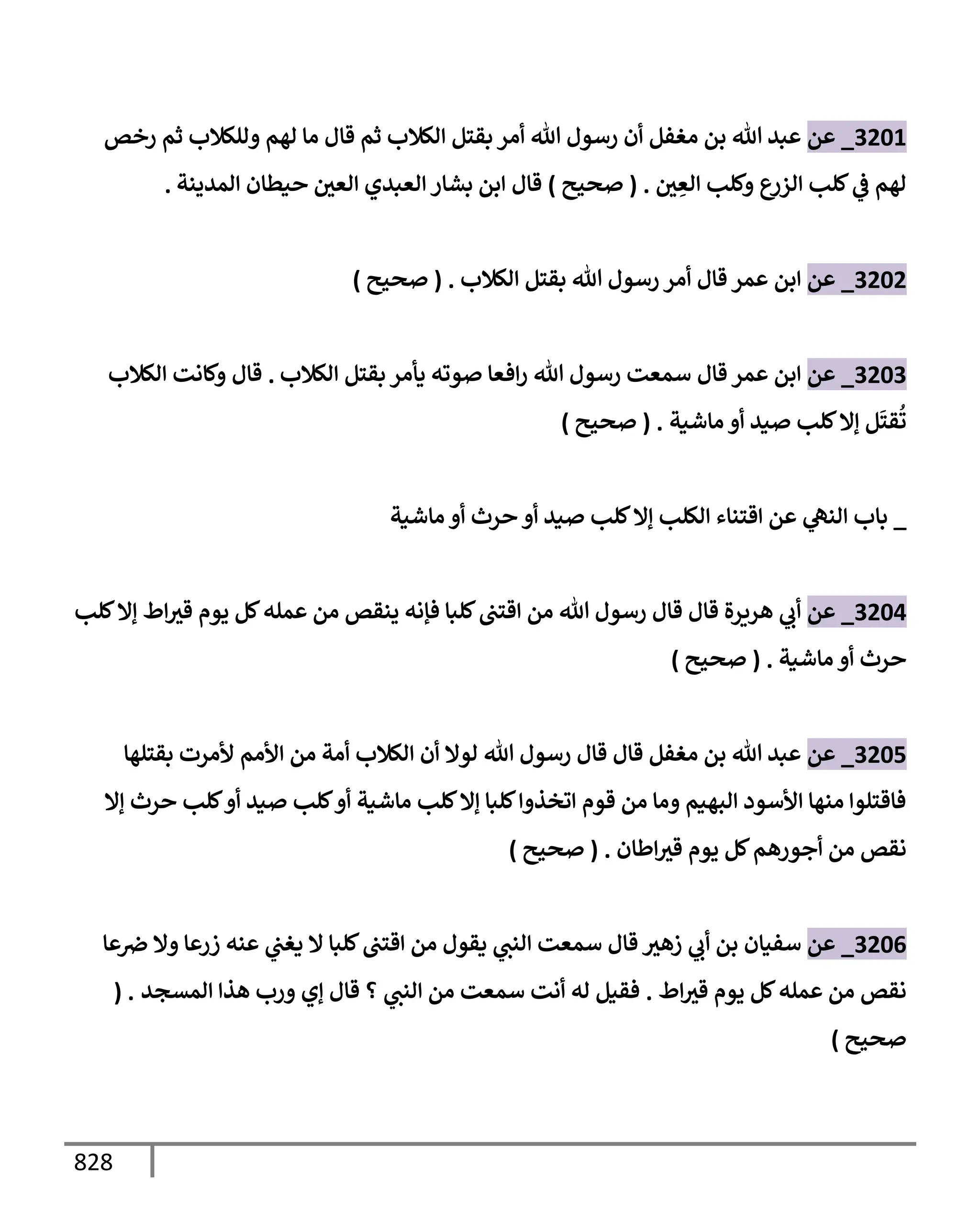 الكامل في تقريب سنن ابن ماجة بحذف الأسانيد مع بيان حكم كل حديث وبيان أن فيه أربعين حديثا ضعيفا فقط وأن ليس فيه حديث متروك ولا مكذوب / النسخة الثانية / 4300 حديث