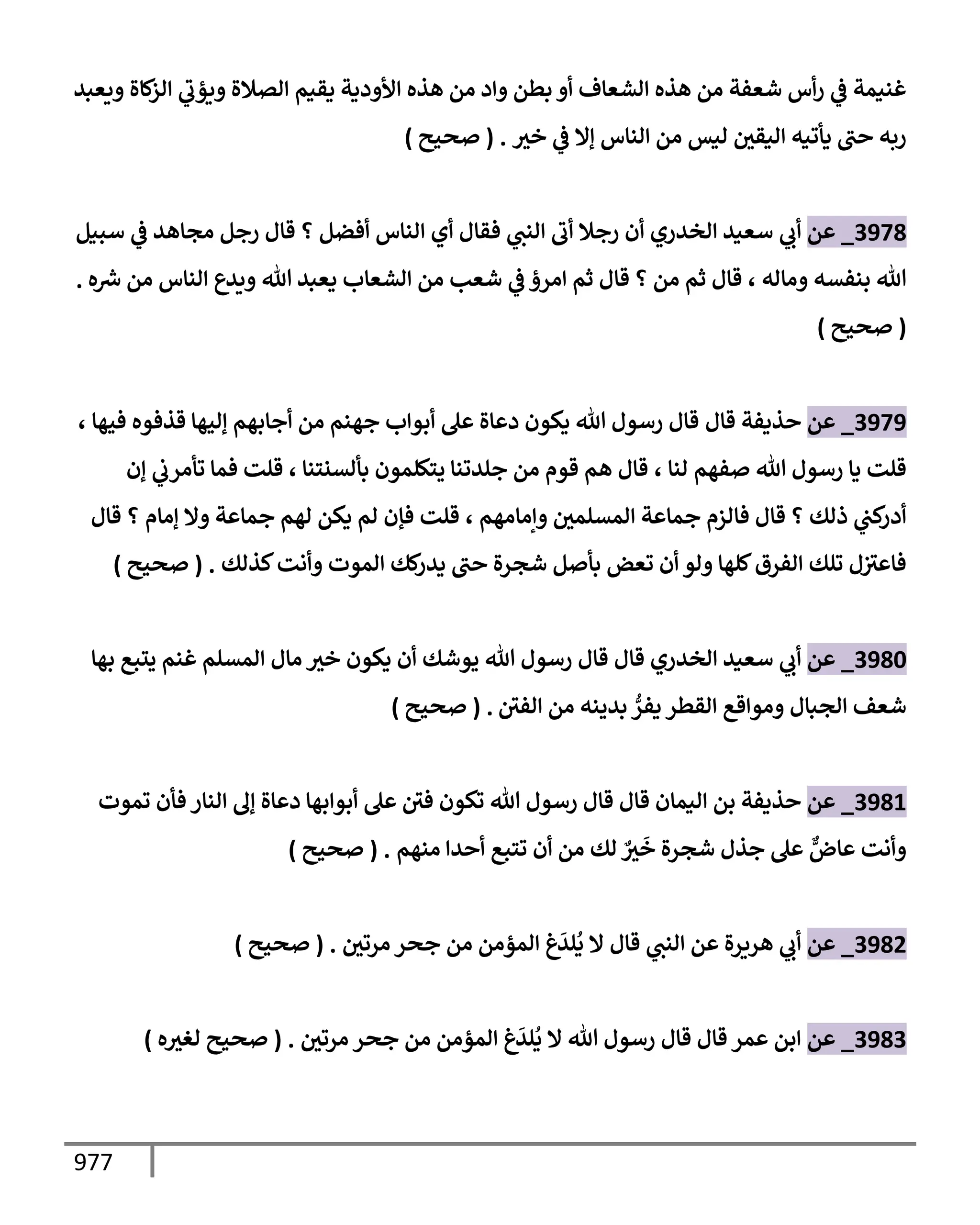 الكامل في تقريب سنن ابن ماجة بحذف الأسانيد مع بيان حكم كل حديث وبيان أن فيه أربعين حديثا ضعيفا فقط وأن ليس فيه حديث متروك ولا مكذوب / النسخة الثانية / 4300 حديث