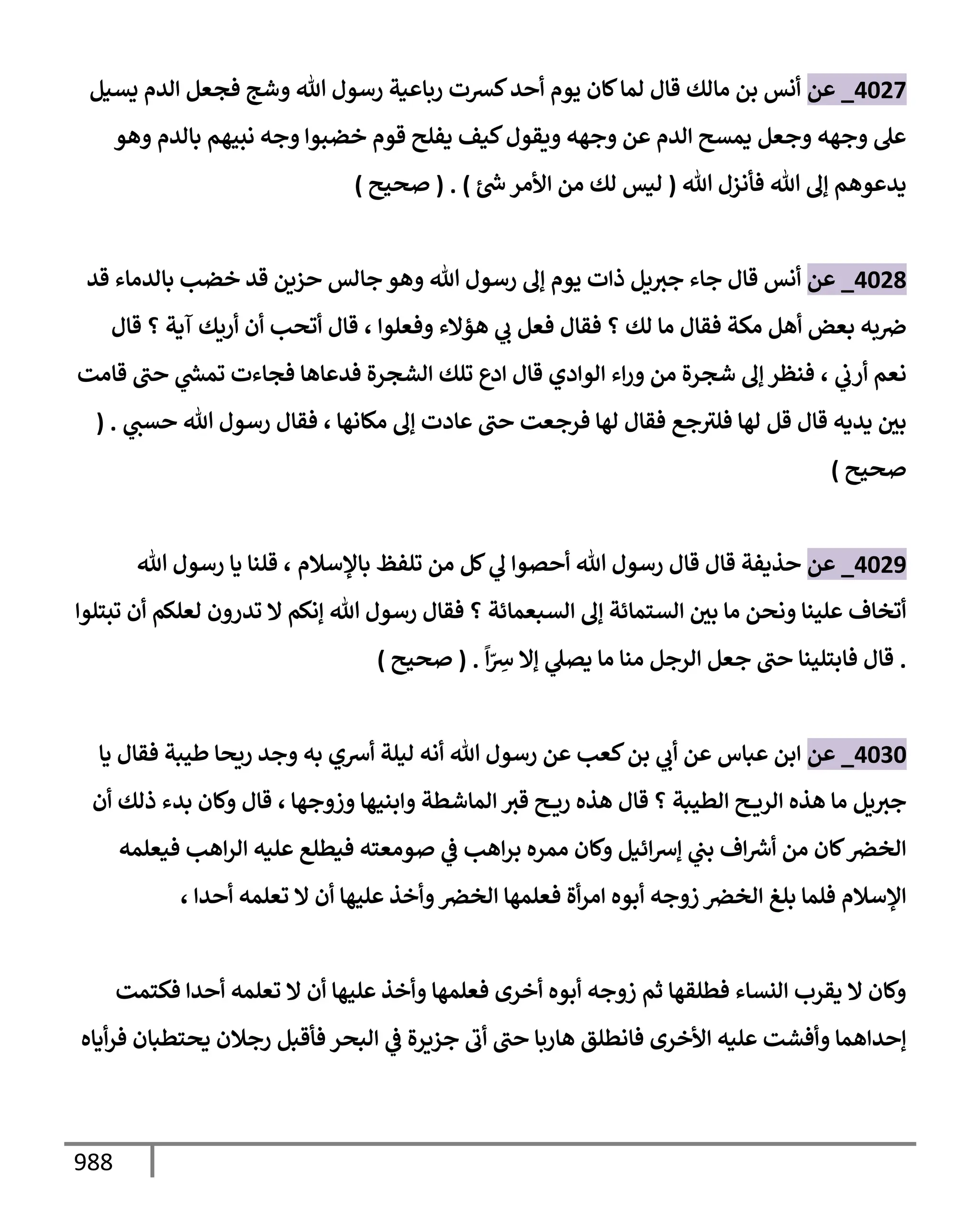 الكامل في تقريب سنن ابن ماجة بحذف الأسانيد مع بيان حكم كل حديث وبيان أن فيه أربعين حديثا ضعيفا فقط وأن ليس فيه حديث متروك ولا مكذوب / النسخة الثانية / 4300 حديث
