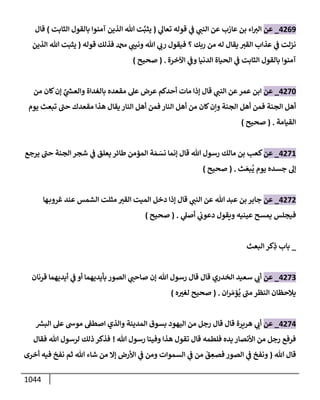 الكامل في تقريب سنن ابن ماجة بحذف الأسانيد مع بيان حكم كل حديث وبيان أن فيه أربعين حديثا ضعيفا فقط وأن ليس فيه حديث متروك ولا مكذوب / النسخة الثانية / 4300 حديث