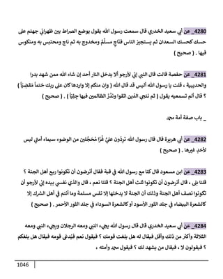 الكامل في تقريب سنن ابن ماجة بحذف الأسانيد مع بيان حكم كل حديث وبيان أن فيه أربعين حديثا ضعيفا فقط وأن ليس فيه حديث متروك ولا مكذوب / النسخة الثانية / 4300 حديث