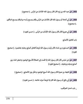 الكامل في تقريب سنن ابن ماجة بحذف الأسانيد مع بيان حكم كل حديث وبيان أن فيه أربعين حديثا ضعيفا فقط وأن ليس فيه حديث متروك ولا مكذوب / النسخة الثانية / 4300 حديث
