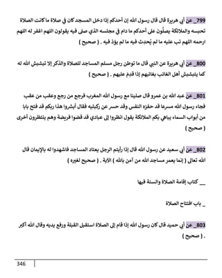 الكامل في تقريب سنن ابن ماجة بحذف الأسانيد مع بيان حكم كل حديث وبيان أن فيه أربعين حديثا ضعيفا فقط وأن ليس فيه حديث متروك ولا مكذوب / النسخة الثانية / 4300 حديث