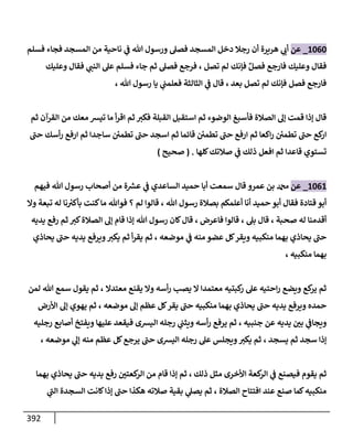 الكامل في تقريب سنن ابن ماجة بحذف الأسانيد مع بيان حكم كل حديث وبيان أن فيه أربعين حديثا ضعيفا فقط وأن ليس فيه حديث متروك ولا مكذوب / النسخة الثانية / 4300 حديث