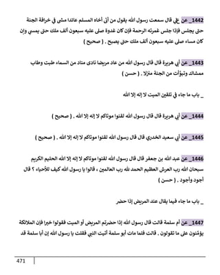 الكامل في تقريب سنن ابن ماجة بحذف الأسانيد مع بيان حكم كل حديث وبيان أن فيه أربعين حديثا ضعيفا فقط وأن ليس فيه حديث متروك ولا مكذوب / النسخة الثانية / 4300 حديث