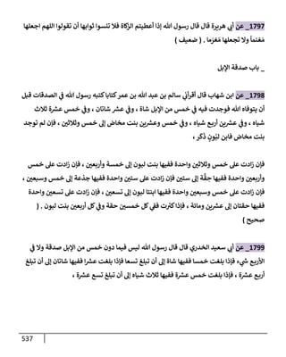 الكامل في تقريب سنن ابن ماجة بحذف الأسانيد مع بيان حكم كل حديث وبيان أن فيه أربعين حديثا ضعيفا فقط وأن ليس فيه حديث متروك ولا مكذوب / النسخة الثانية / 4300 حديث
