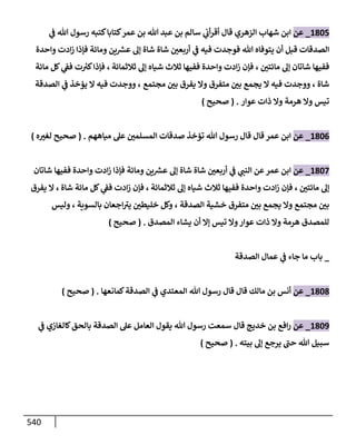 الكامل في تقريب سنن ابن ماجة بحذف الأسانيد مع بيان حكم كل حديث وبيان أن فيه أربعين حديثا ضعيفا فقط وأن ليس فيه حديث متروك ولا مكذوب / النسخة الثانية / 4300 حديث
