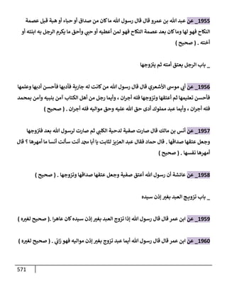 الكامل في تقريب سنن ابن ماجة بحذف الأسانيد مع بيان حكم كل حديث وبيان أن فيه أربعين حديثا ضعيفا فقط وأن ليس فيه حديث متروك ولا مكذوب / النسخة الثانية / 4300 حديث