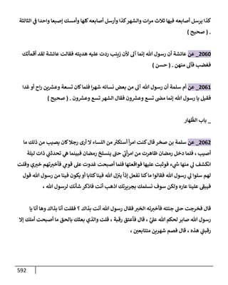 الكامل في تقريب سنن ابن ماجة بحذف الأسانيد مع بيان حكم كل حديث وبيان أن فيه أربعين حديثا ضعيفا فقط وأن ليس فيه حديث متروك ولا مكذوب / النسخة الثانية / 4300 حديث