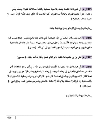 الكامل في تقريب سنن ابن ماجة بحذف الأسانيد مع بيان حكم كل حديث وبيان أن فيه أربعين حديثا ضعيفا فقط وأن ليس فيه حديث متروك ولا مكذوب / النسخة الثانية / 4300 حديث