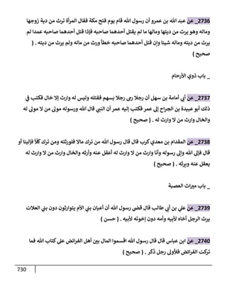 الكامل في تقريب سنن ابن ماجة بحذف الأسانيد مع بيان حكم كل حديث وبيان أن فيه أربعين حديثا ضعيفا فقط وأن ليس فيه حديث متروك ولا مكذوب / النسخة الثانية / 4300 حديث