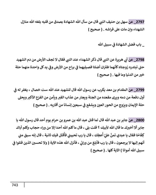 الكامل في تقريب سنن ابن ماجة بحذف الأسانيد مع بيان حكم كل حديث وبيان أن فيه أربعين حديثا ضعيفا فقط وأن ليس فيه حديث متروك ولا مكذوب / النسخة الثانية / 4300 حديث