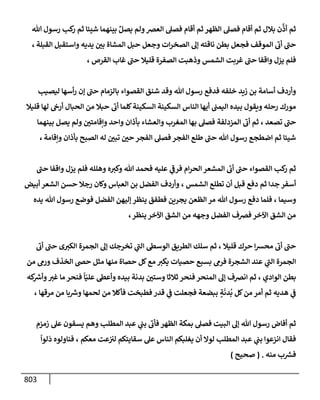 الكامل في تقريب سنن ابن ماجة بحذف الأسانيد مع بيان حكم كل حديث وبيان أن فيه أربعين حديثا ضعيفا فقط وأن ليس فيه حديث متروك ولا مكذوب / النسخة الثانية / 4300 حديث