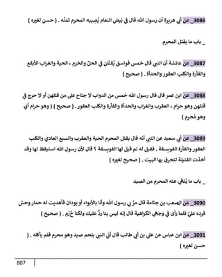 الكامل في تقريب سنن ابن ماجة بحذف الأسانيد مع بيان حكم كل حديث وبيان أن فيه أربعين حديثا ضعيفا فقط وأن ليس فيه حديث متروك ولا مكذوب / النسخة الثانية / 4300 حديث