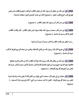 الكامل في تقريب سنن ابن ماجة بحذف الأسانيد مع بيان حكم كل حديث وبيان أن فيه أربعين حديثا ضعيفا فقط وأن ليس فيه حديث متروك ولا مكذوب / النسخة الثانية / 4300 حديث