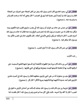الكامل في تقريب سنن ابن ماجة بحذف الأسانيد مع بيان حكم كل حديث وبيان أن فيه أربعين حديثا ضعيفا فقط وأن ليس فيه حديث متروك ولا مكذوب / النسخة الثانية / 4300 حديث