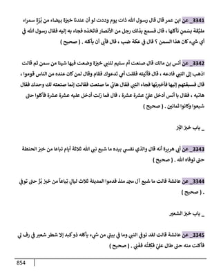 الكامل في تقريب سنن ابن ماجة بحذف الأسانيد مع بيان حكم كل حديث وبيان أن فيه أربعين حديثا ضعيفا فقط وأن ليس فيه حديث متروك ولا مكذوب / النسخة الثانية / 4300 حديث