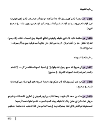 الكامل في تقريب سنن ابن ماجة بحذف الأسانيد مع بيان حكم كل حديث وبيان أن فيه أربعين حديثا ضعيفا فقط وأن ليس فيه حديث متروك ولا مكذوب / النسخة الثانية / 4300 حديث