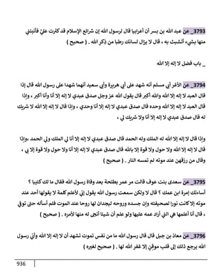 الكامل في تقريب سنن ابن ماجة بحذف الأسانيد مع بيان حكم كل حديث وبيان أن فيه أربعين حديثا ضعيفا فقط وأن ليس فيه حديث متروك ولا مكذوب / النسخة الثانية / 4300 حديث