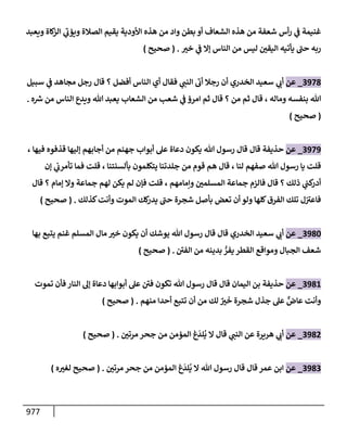 الكامل في تقريب سنن ابن ماجة بحذف الأسانيد مع بيان حكم كل حديث وبيان أن فيه أربعين حديثا ضعيفا فقط وأن ليس فيه حديث متروك ولا مكذوب / النسخة الثانية / 4300 حديث