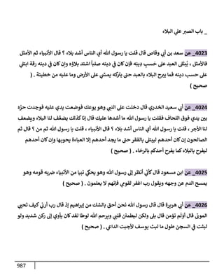 الكامل في تقريب سنن ابن ماجة بحذف الأسانيد مع بيان حكم كل حديث وبيان أن فيه أربعين حديثا ضعيفا فقط وأن ليس فيه حديث متروك ولا مكذوب / النسخة الثانية / 4300 حديث