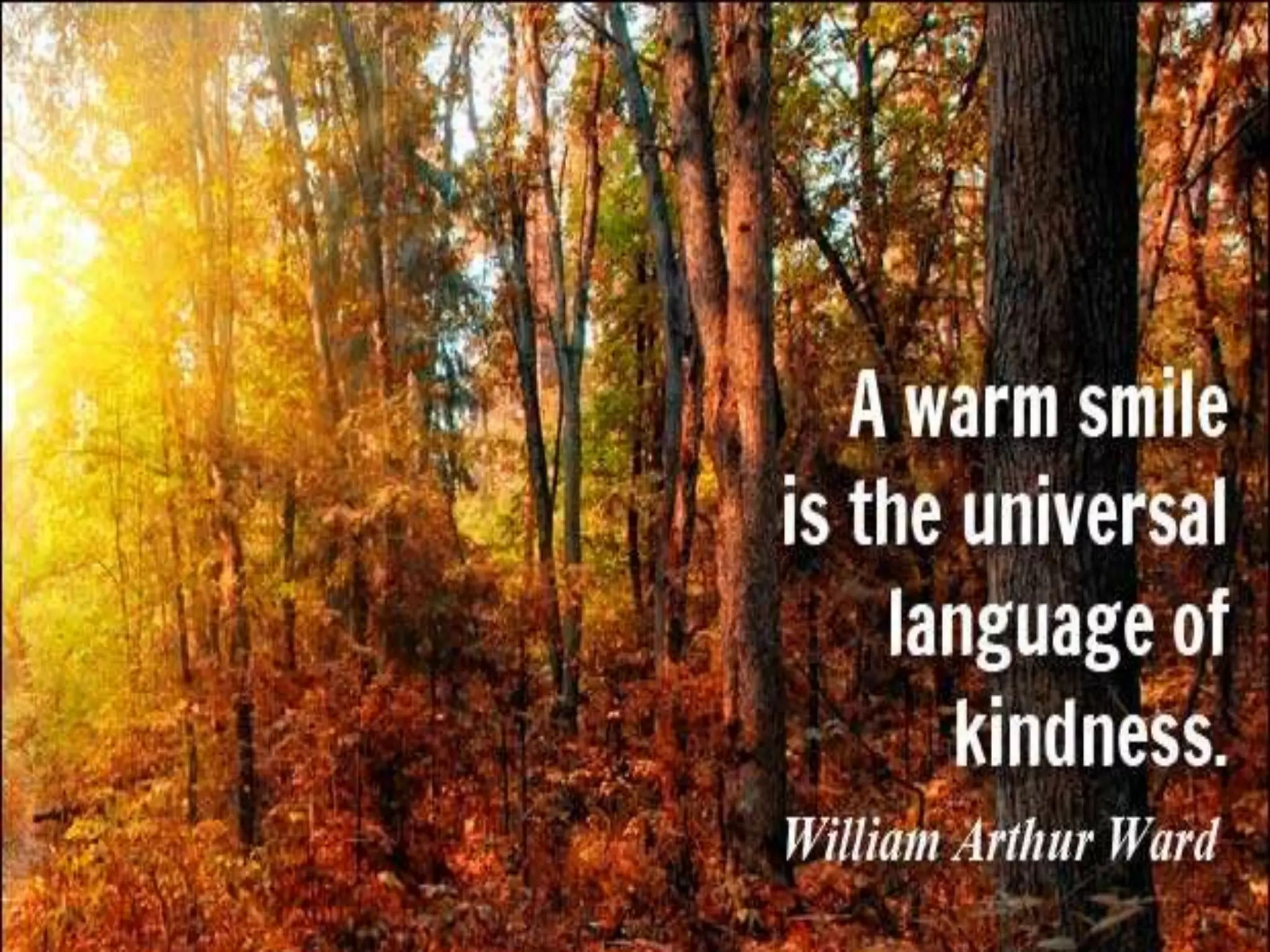 K 12 english language arts curriculum conceptual framework