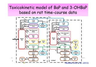 Toxicokinetic model of BaP and 3-OHBaP
based on rat time-course data

Heredia-Ortiz et al. (2012)

 