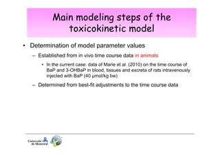 Main modeling steps of the
toxicokinetic model
• Determination of model parameter values
– Established from in vivo time course data in animals
• In the current case: data of Marie et al. (2010) on the time course of
BaP and 3-OHBaP in blood, tissues and excreta of rats intravenously
injected with BaP (40 µmol/kg bw)

– Determined from best-fit adjustments to the time course data

 